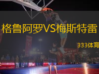 格鲁阿罗VS梅斯特雷