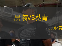 晨曦VS葵青