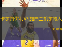 卡尔路伊利VS施白兰凯尔特人