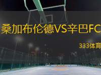 桑加布伦德VS辛巴FC