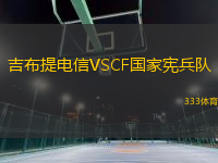 吉布提电信VSCF国家宪兵队