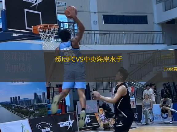 悉尼FCVS中央海岸水手