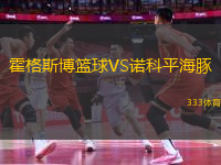 霍格斯博篮球VS诺科平海豚