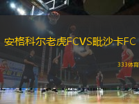 安格科尔老虎FCVS毗沙卡FC