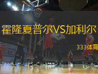 霍隆夏普尔VS加利尔