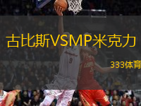 古比斯VSMP米克力