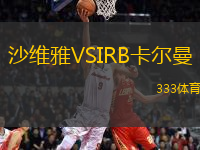 沙维雅VSIRB卡尔曼