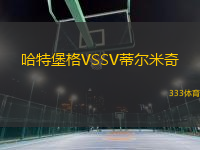 哈特堡格VSSV蒂尔米奇