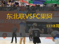 东北联VSFC果阿