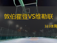 敦伯霍登VS维勒联