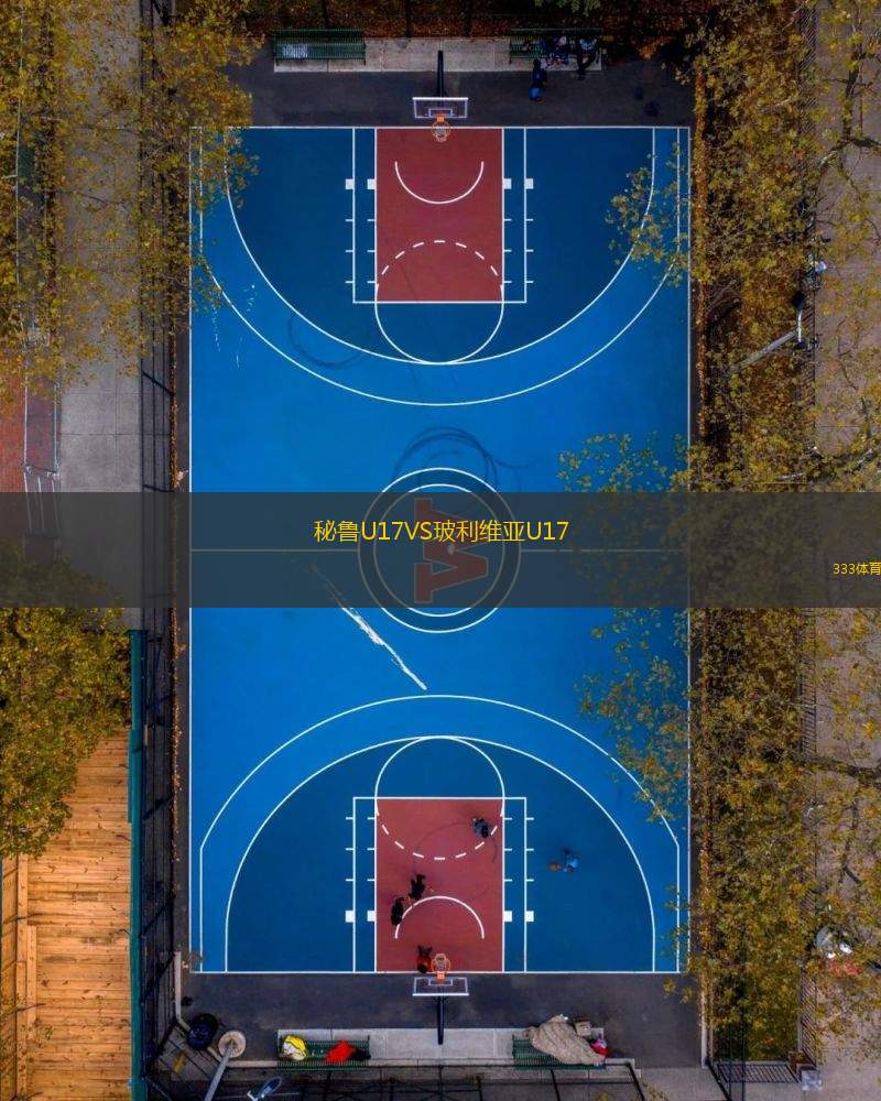 秘鲁U17VS玻利维亚U17