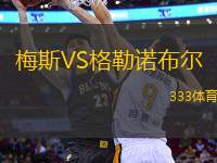 梅斯VS格勒诺布尔