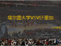 塔尔图大学VSVEF里加